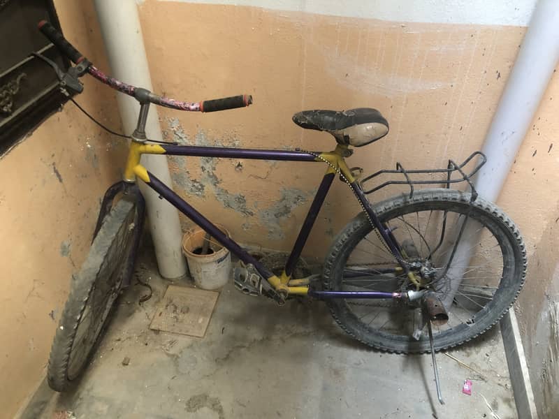 Phonix cycle 1