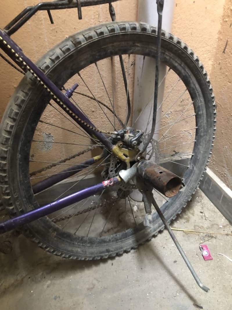 Phonix cycle 3
