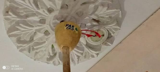 Pak Fan