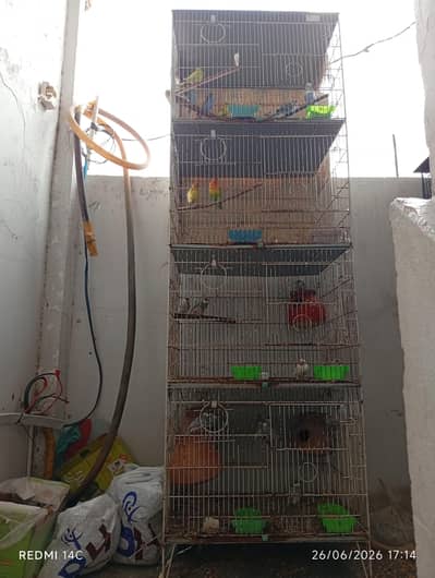 Two 4 portion cage for love birds and cocktail ring neck ETC