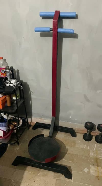 twister machine tummy trimmer