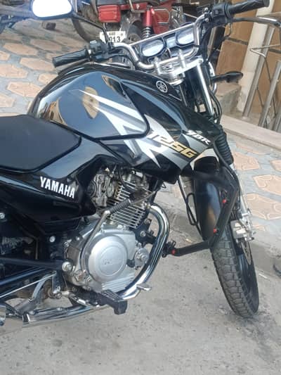 YBR 100% janian 03059572828