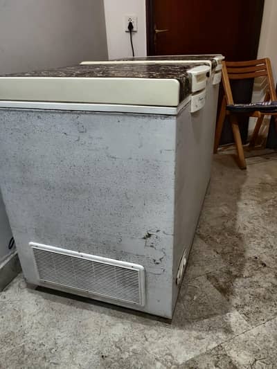 Waves Freezer double door