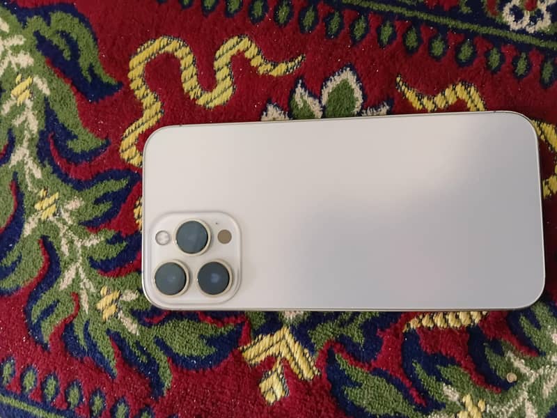 Apple iPhone 13 Pro Max 0