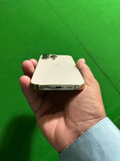 iphone13pro