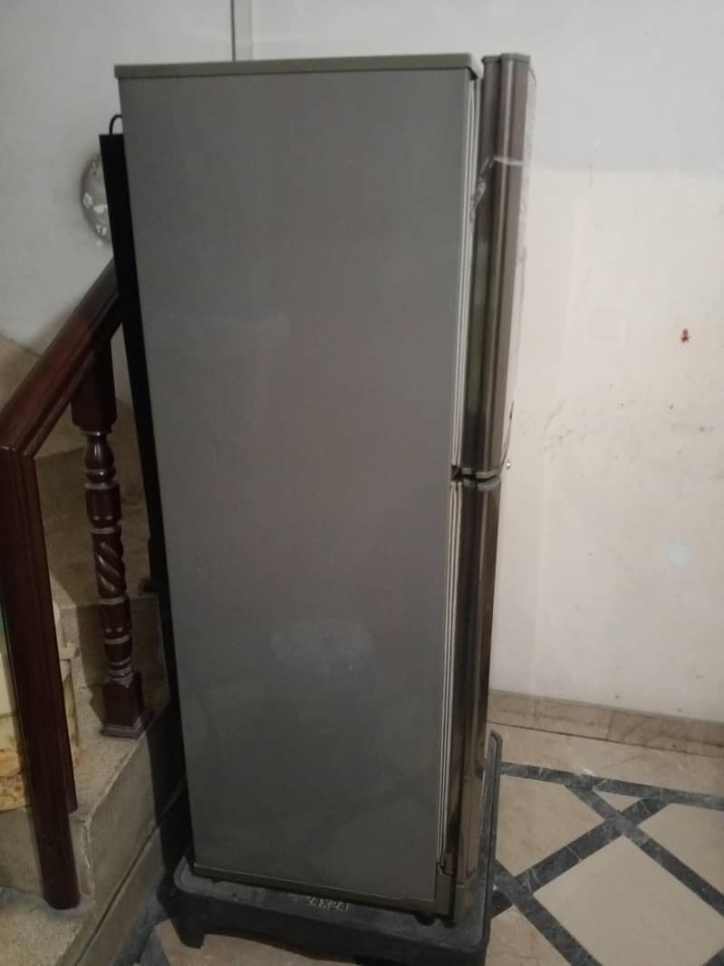 pel fridge 1