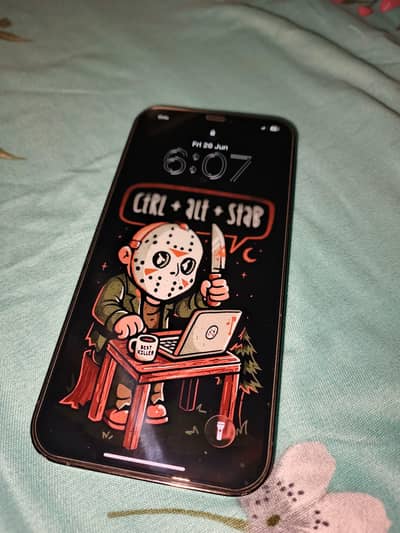 iPhone 12 Pro Max PTA Approved