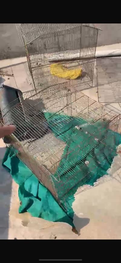 Cages for sale