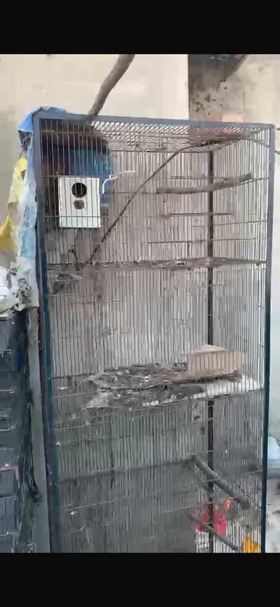 Cages for sale