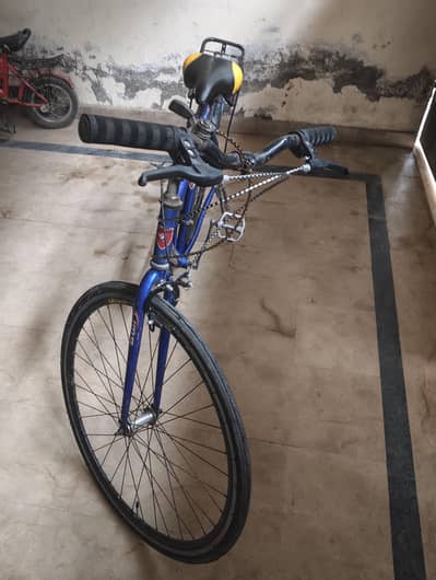 champion bicycle slim taer sports