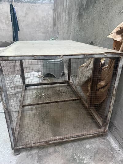 Heavy Iron Pet Cage / Dog Cat Rabbit Cage with Sheet Top | Lahore*