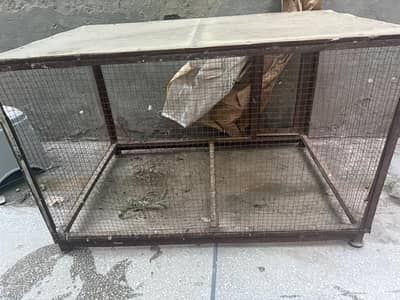 Heavy Iron Pet Cage / Dog Cat Rabbit Cage with Sheet Top  | Lahore*