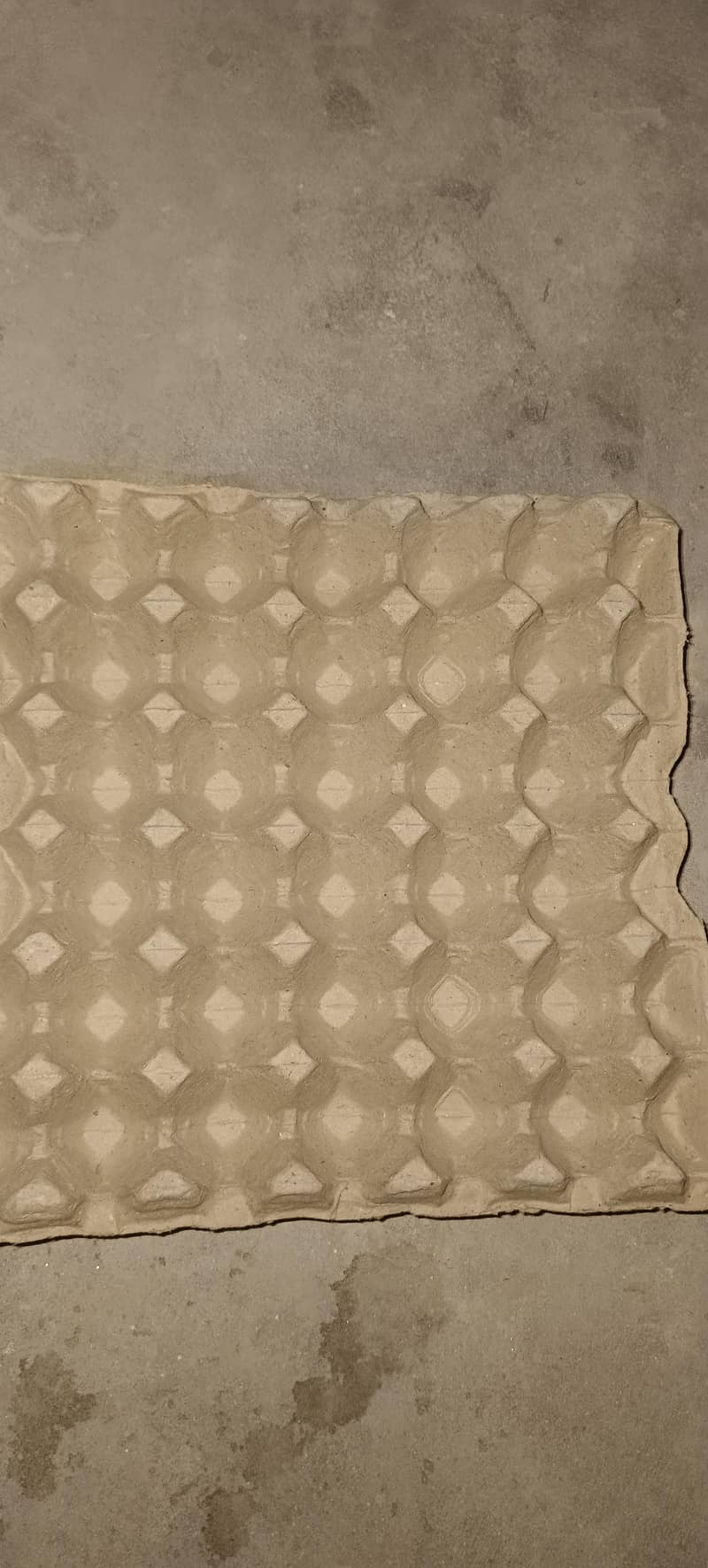 egg tray 2