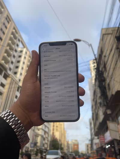 Apple iPhone 12 Pro Max
