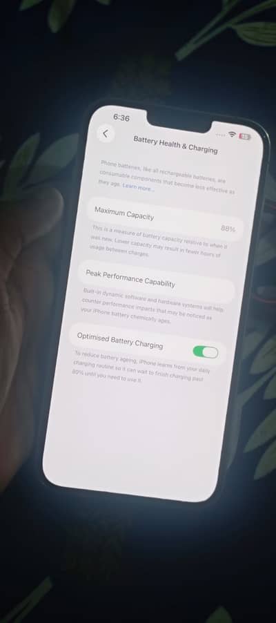 Apple iPhone 13 Pro Max