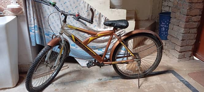 cycle