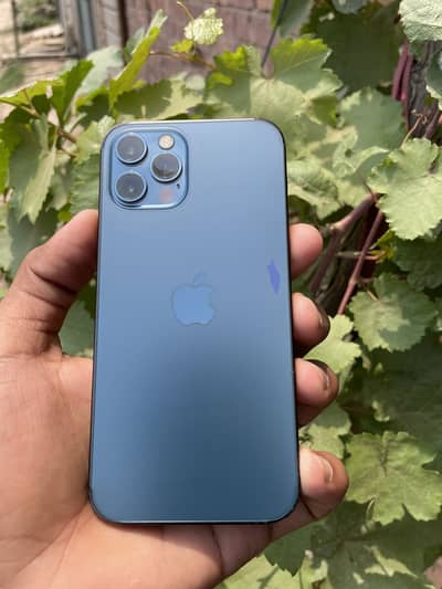 Apple iPhone 12 Pro