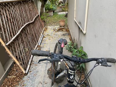Hybrid bicycle