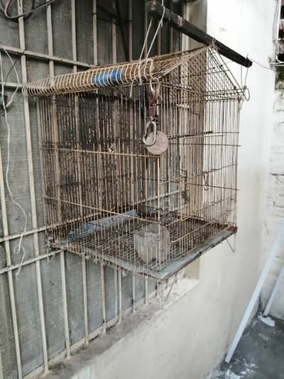 cage for sale