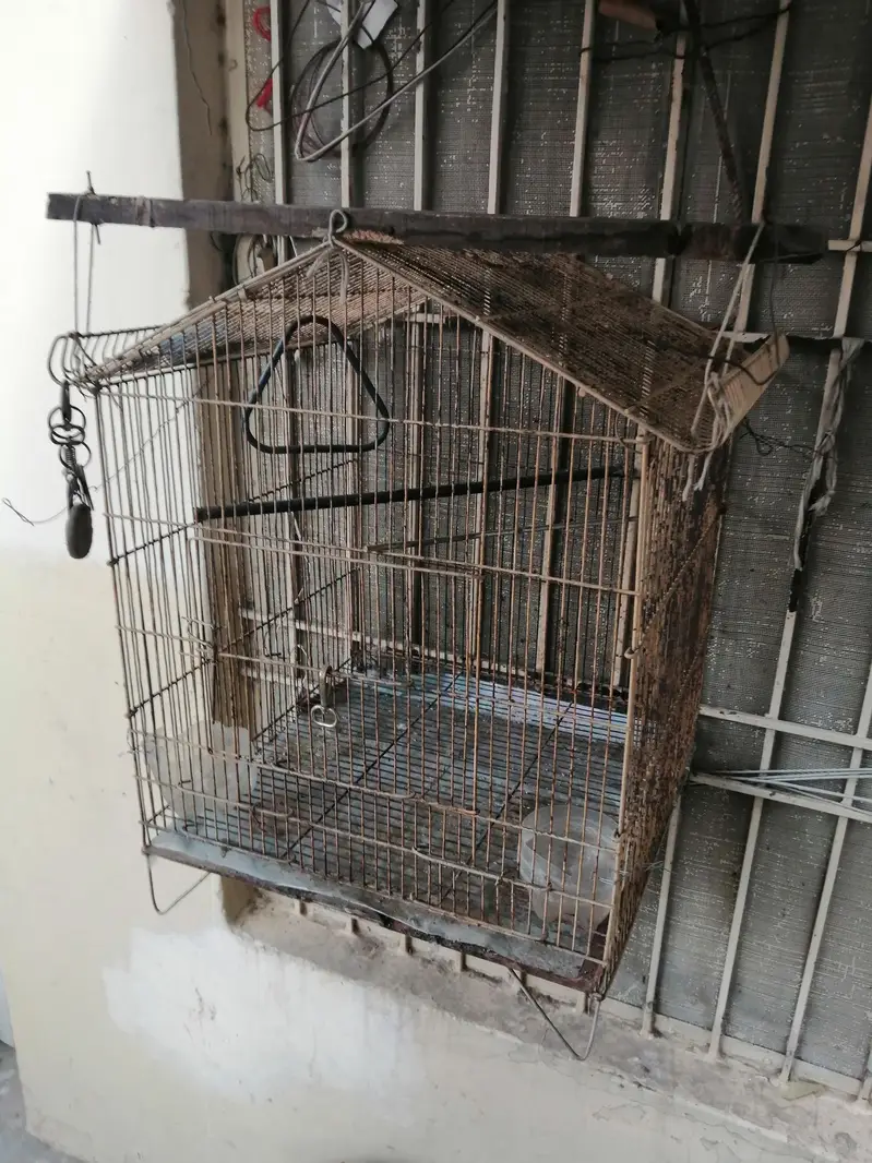 cage for sale — photo 2