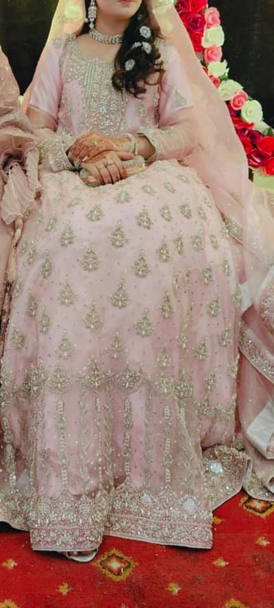 Walima Maxi