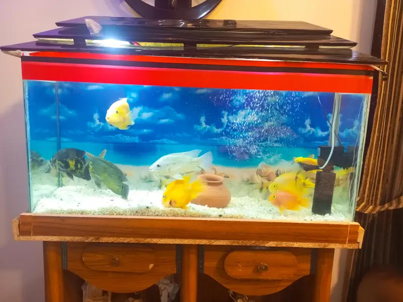  aquarium — photo 2