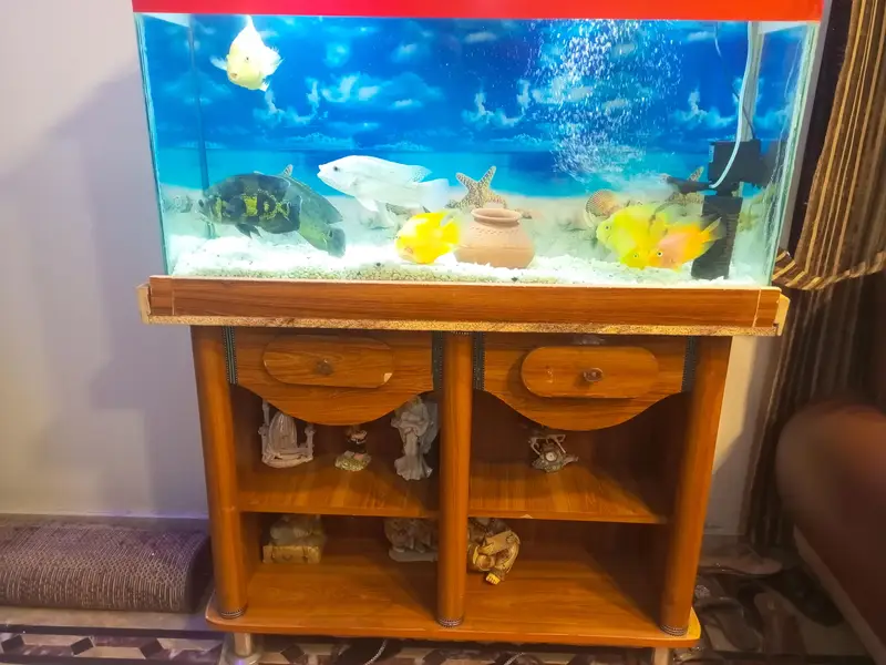  aquarium — photo 3