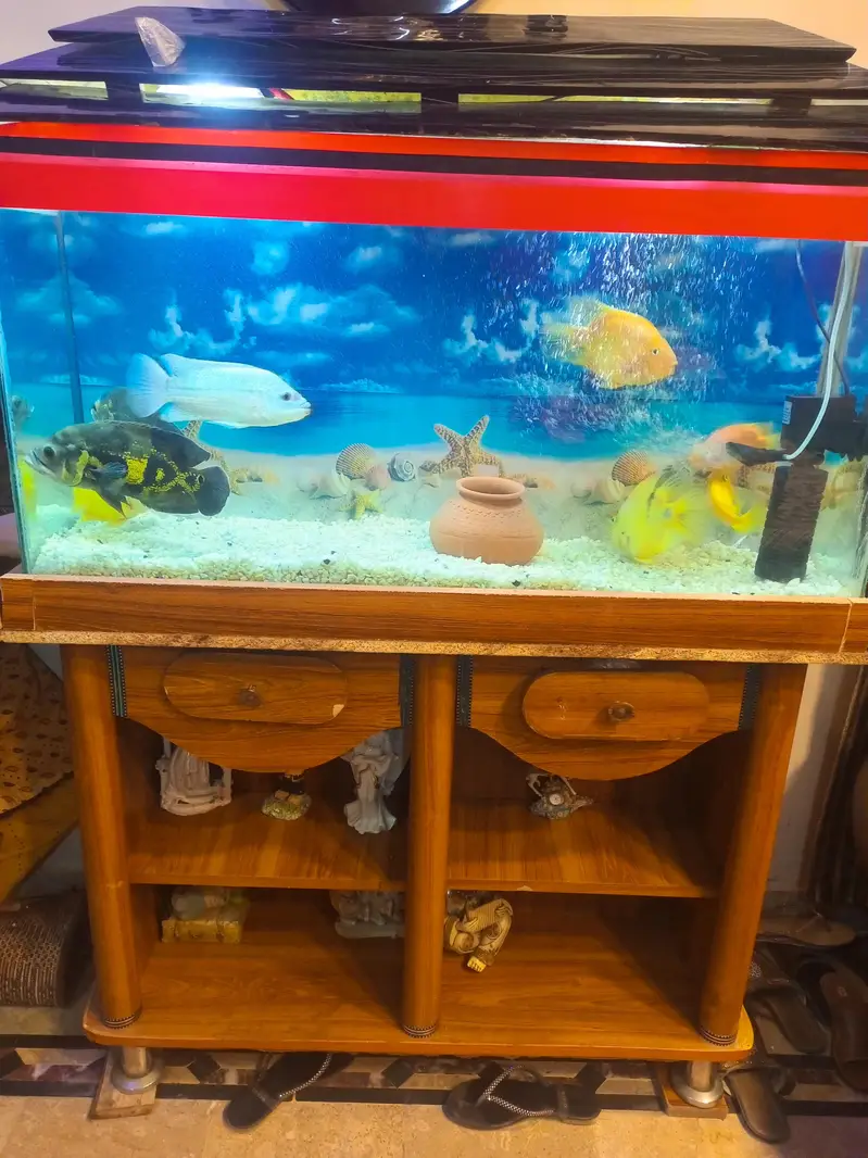  aquarium — photo 5