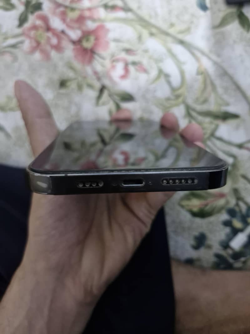 Apple iPhone 13 Pro Max 1