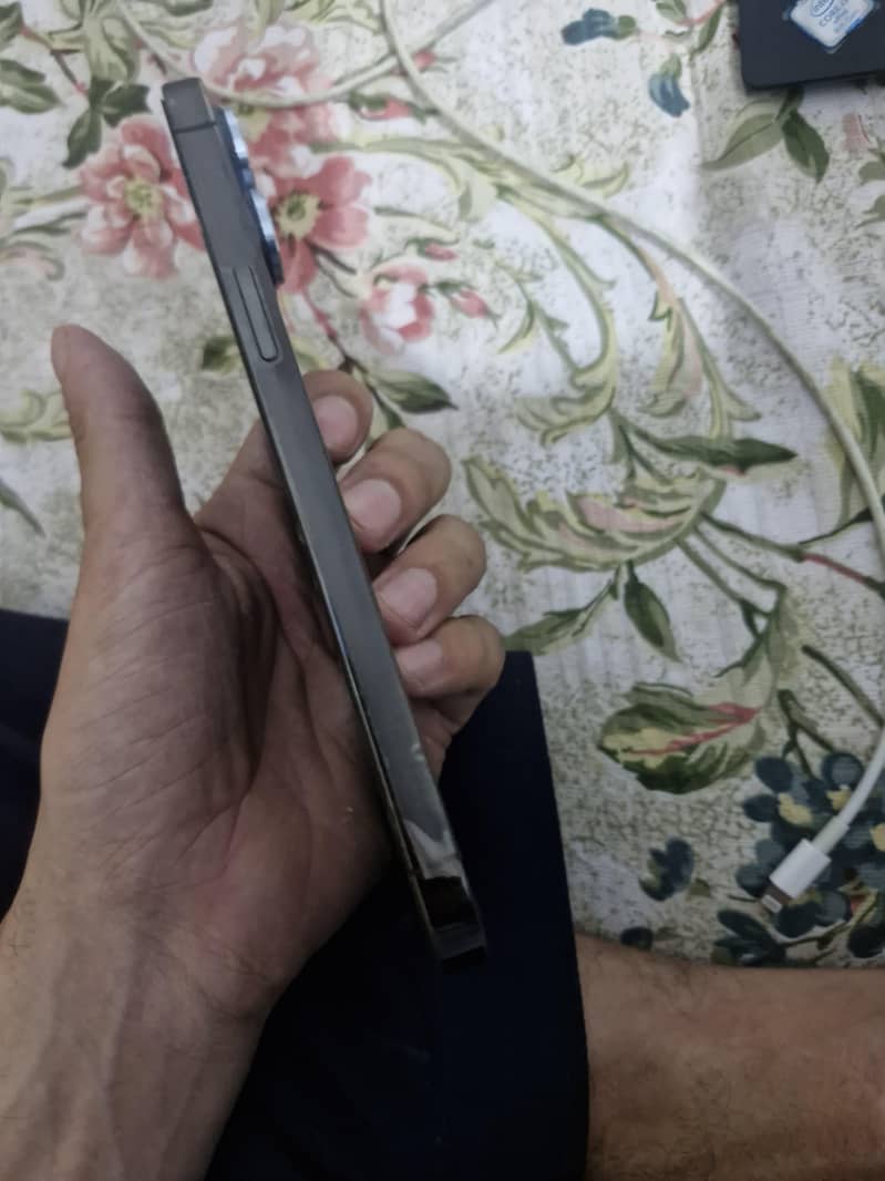 Apple iPhone 13 Pro Max 4