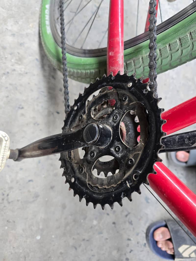 Bicycle 12
