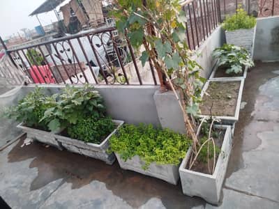 Garden Flower pot