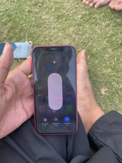 iPhone 12