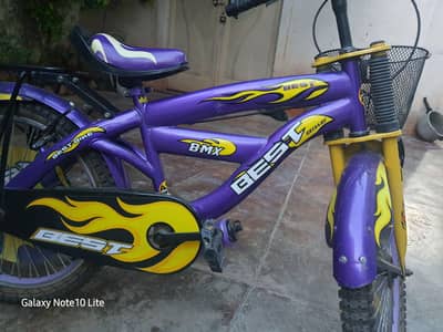 bicycle in best conditions