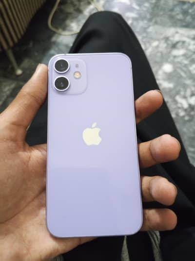 Apple iPhone 12 mini
