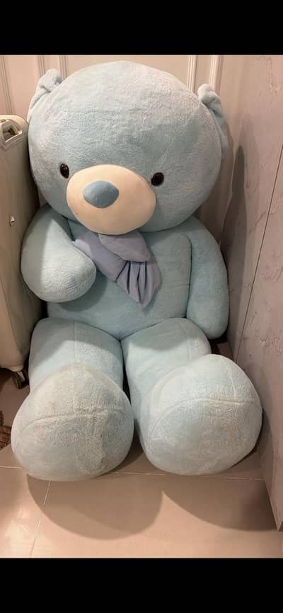 Teddy Bear 5ft