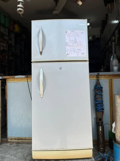 frige