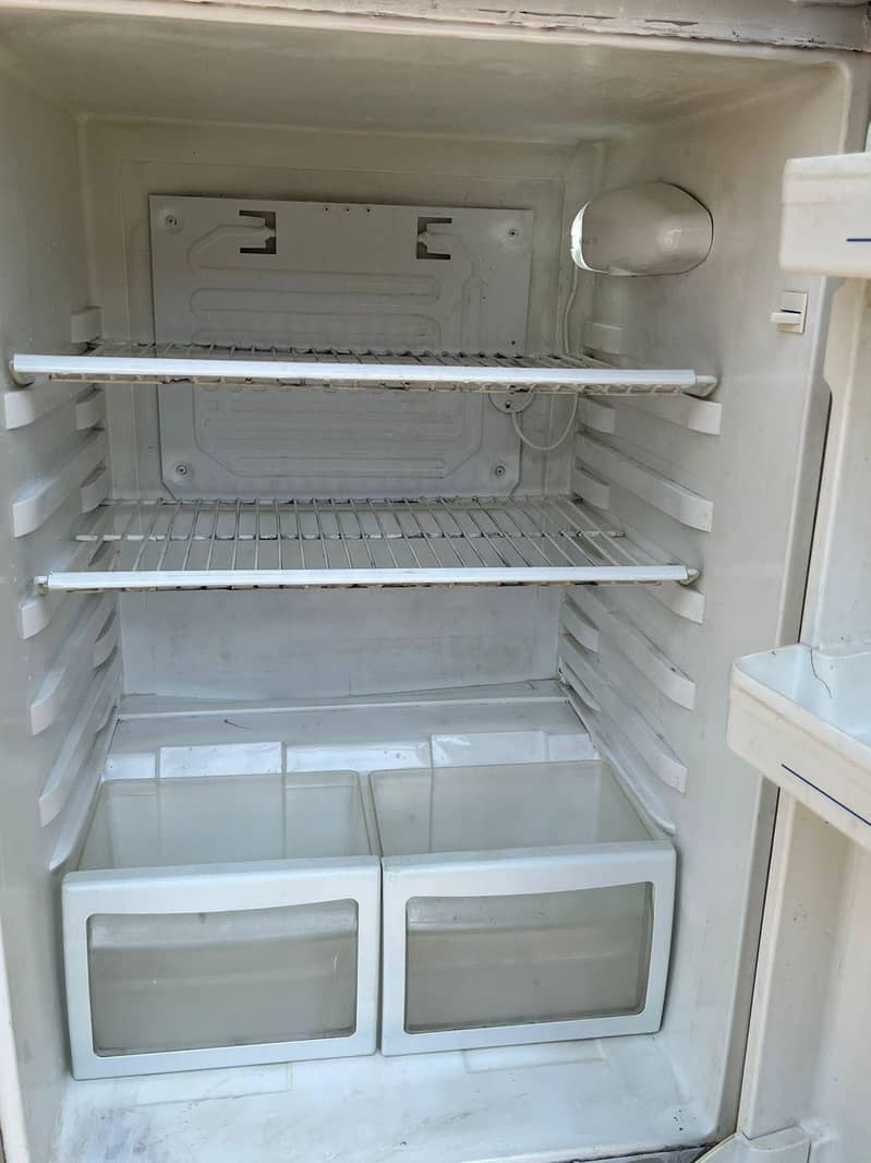 frige 1