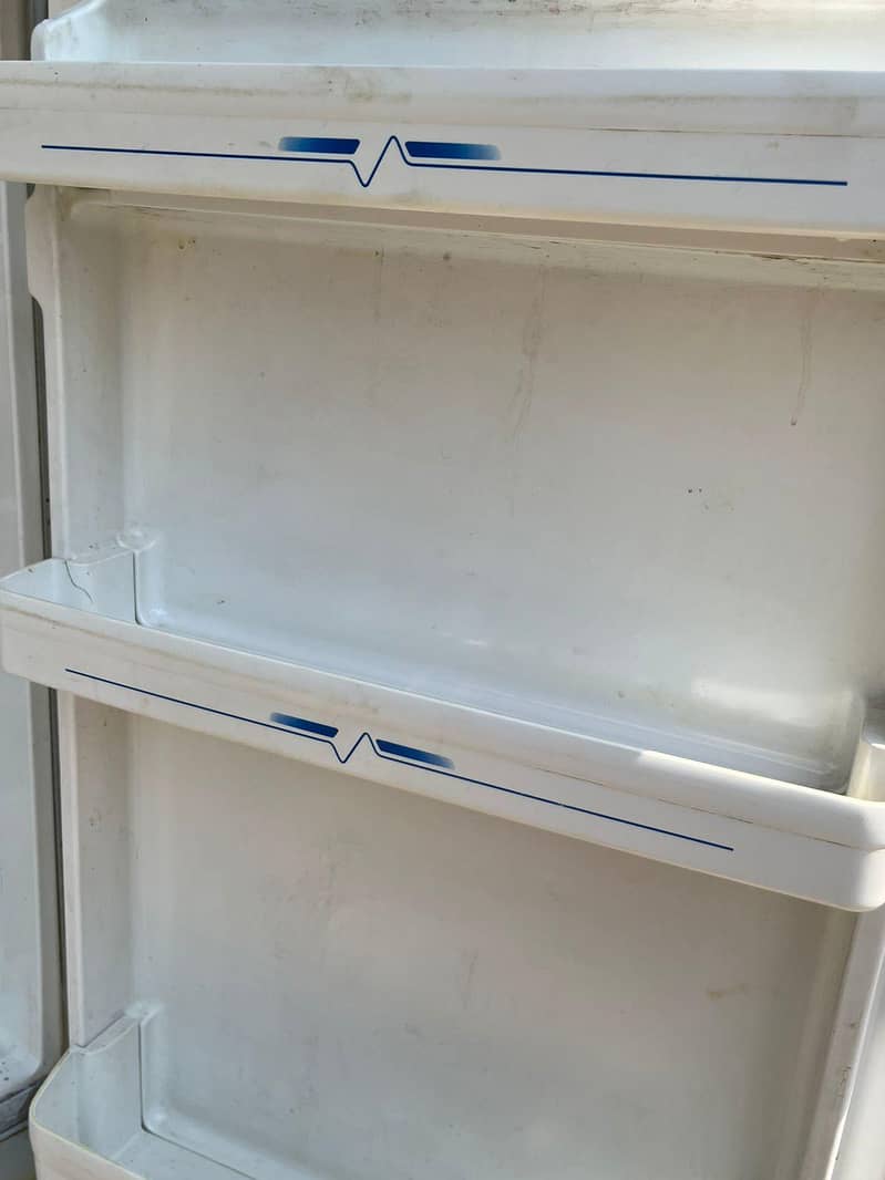 frige 2