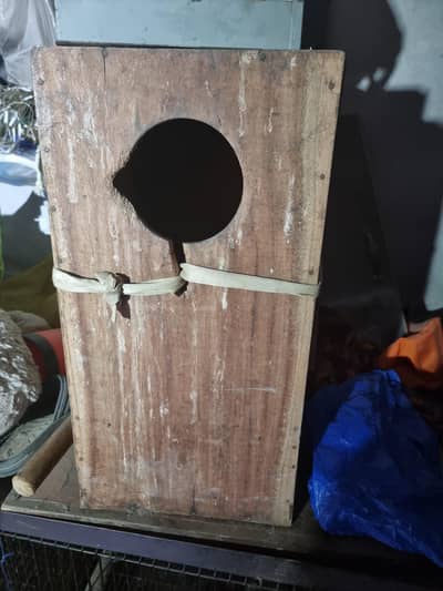 Breeding BOX Raw Parrot