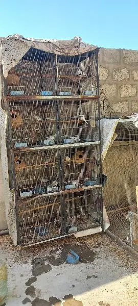 Iron cage 8 portion