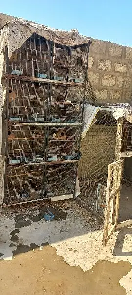 Iron cage 8 portion — photo 2