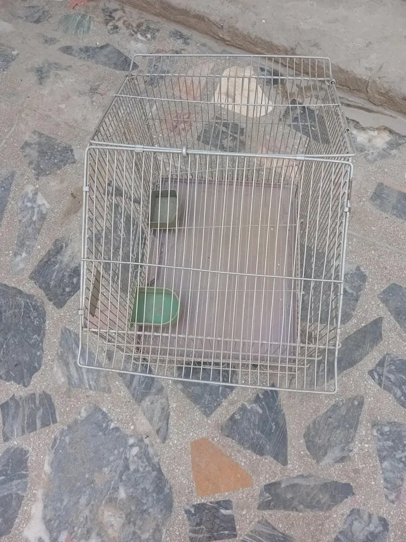 parrot folding cage bilkul new coundition ma ha bhut km used hua ha — photo 2