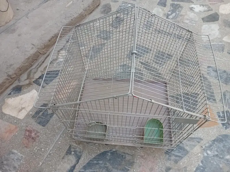 parrot folding cage bilkul new coundition ma ha bhut km used hua ha — photo 3