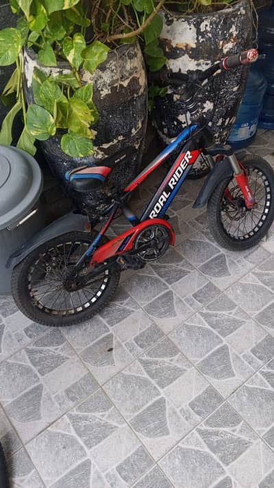 cylces for sale
