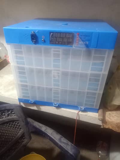 incubator full atou Matic all okay ha