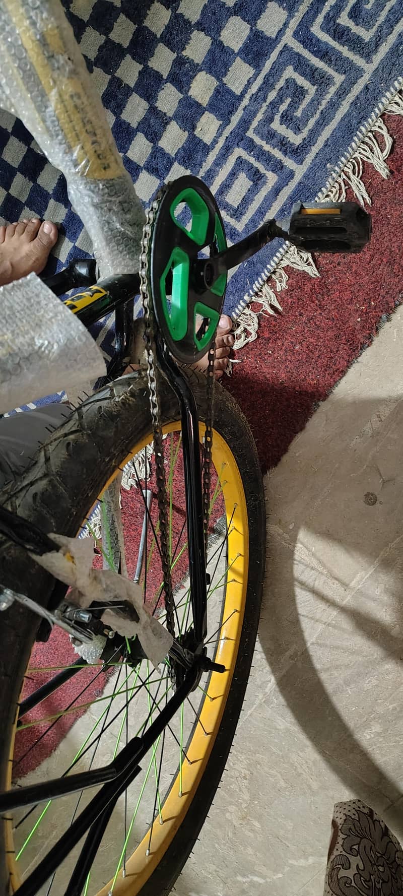 Phoenix Cycle 6