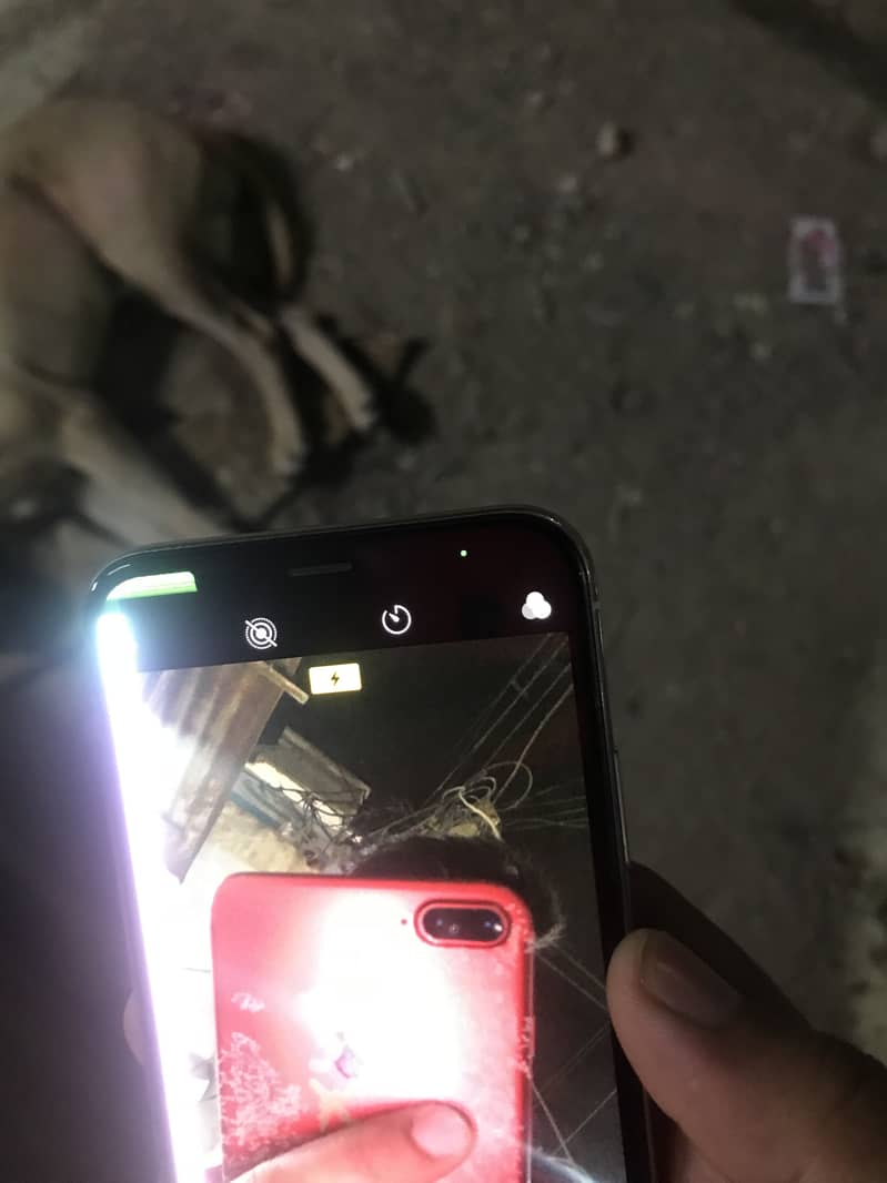 Apple iPhone X 3