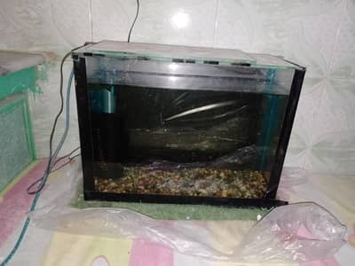 Fish Tank