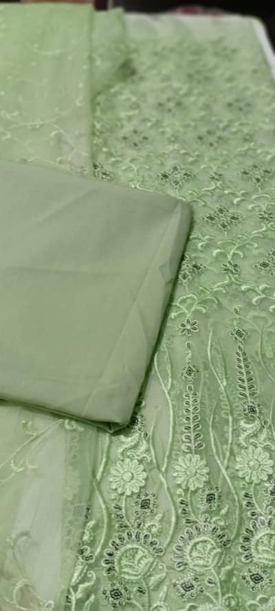 pista Green self Embroidered organza 3pc suit Heavy Daman/EID FORMAL